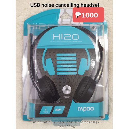 Alternative view of RAPOO CASQUE H120