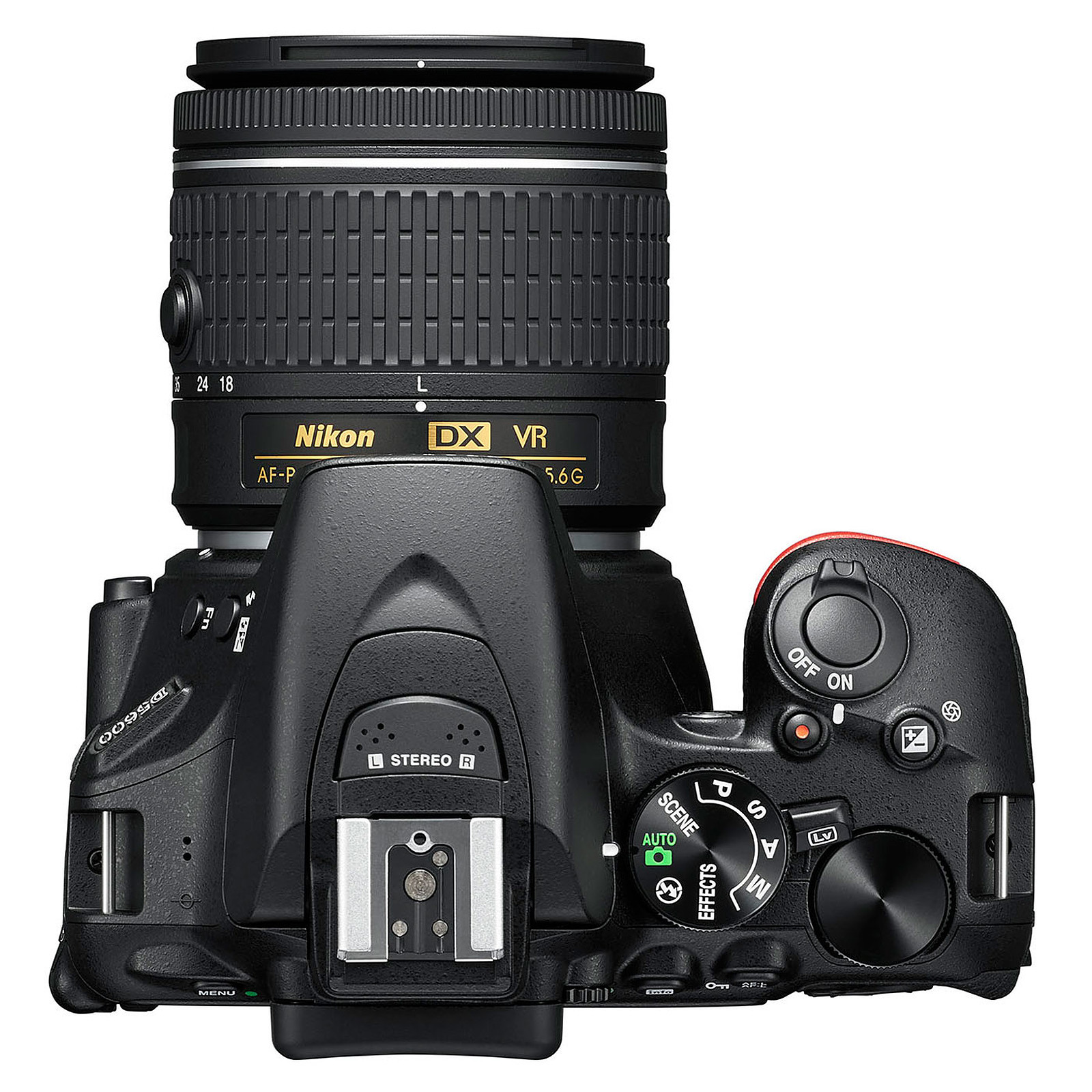 Nikon D5600 + AF-P DX NIKKOR 18-55mm VR – Image 4