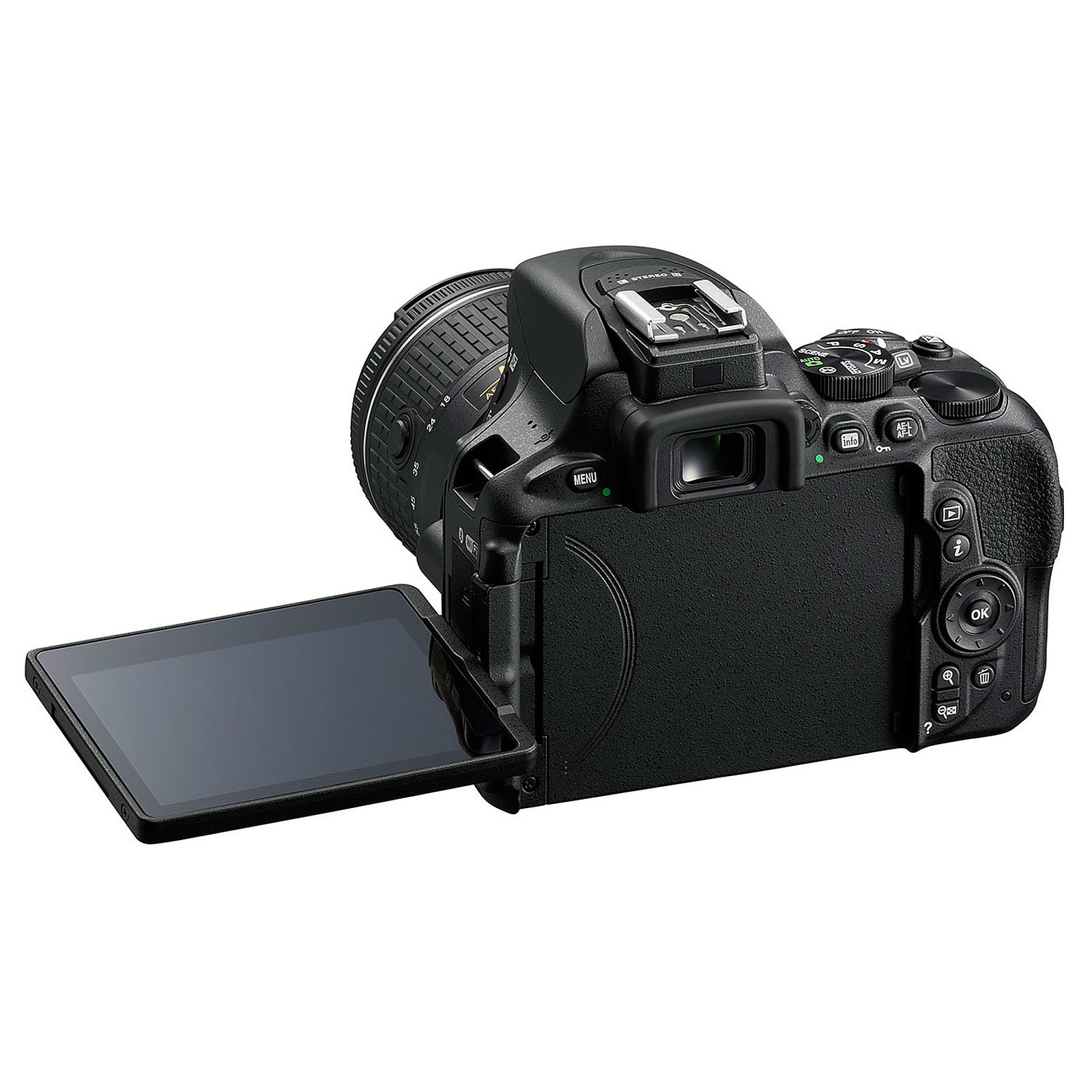 Nikon D5600 + AF-P DX NIKKOR 18-55mm VR – Image 3