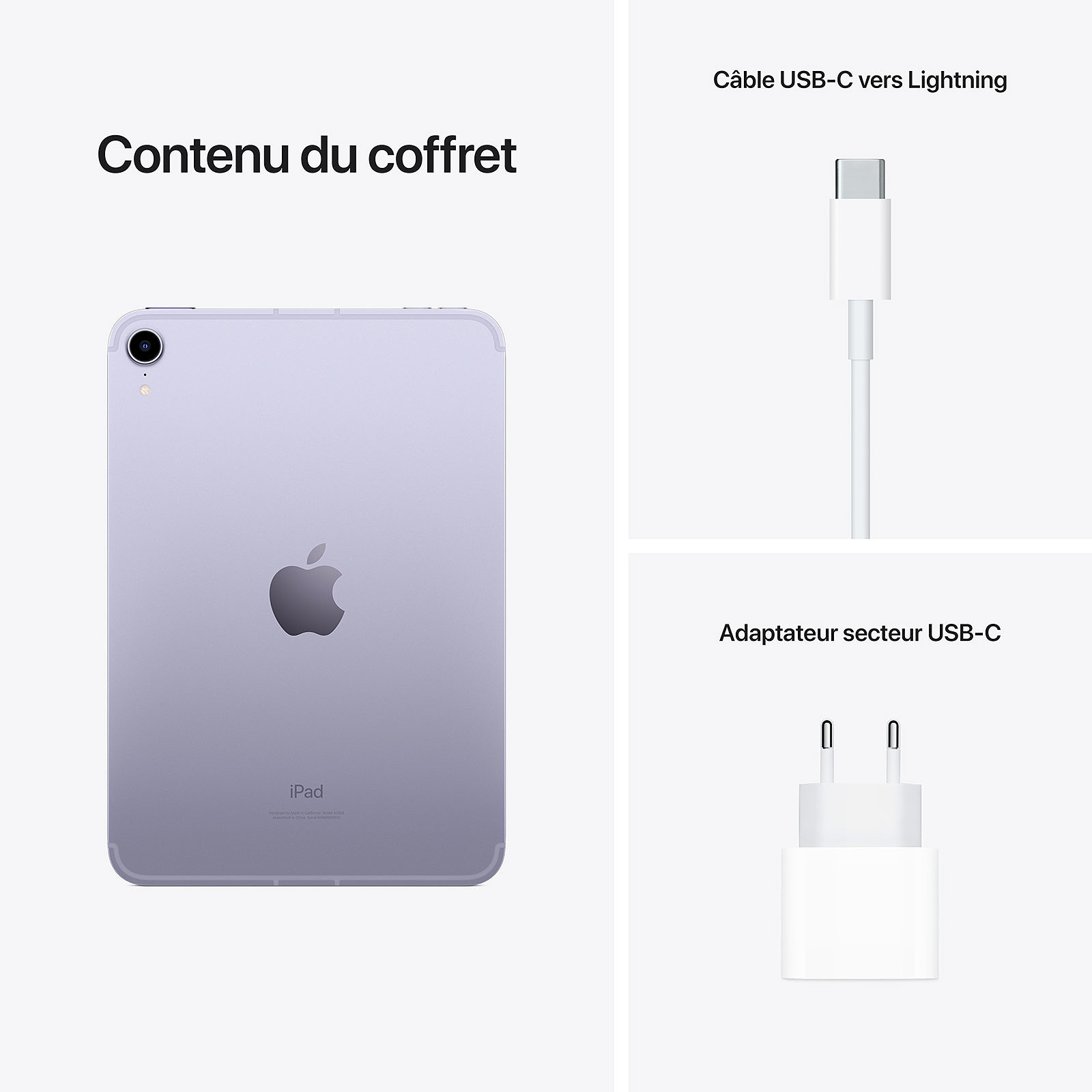 Apple iPad mini (2021) 256Gb Wi-Fi Gris Sidéral/Mauve/Gold – Image 5